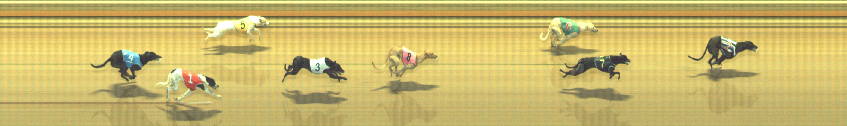Photo finish for Geelong Race 10