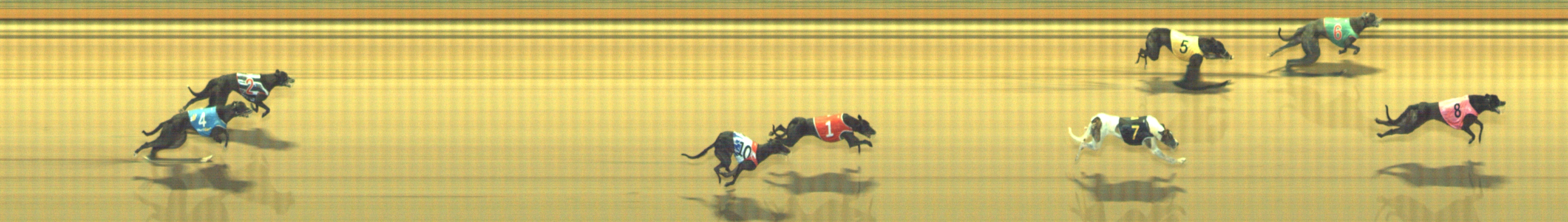 Photo finish for Geelong Race 11