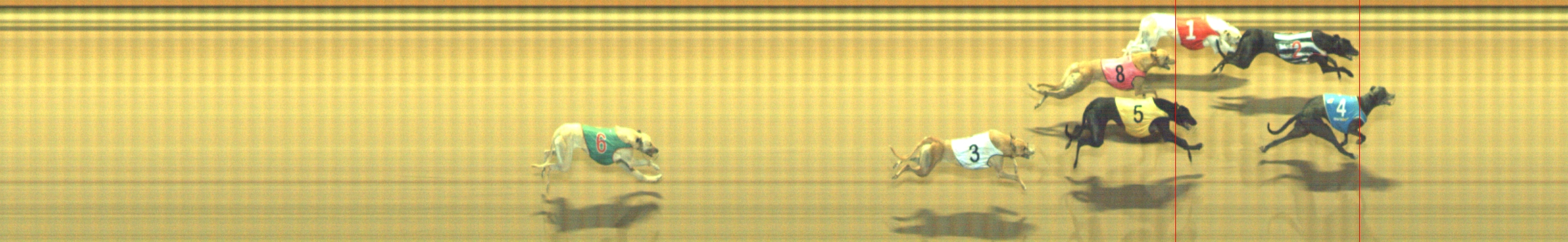 Photo finish for Geelong Race 12