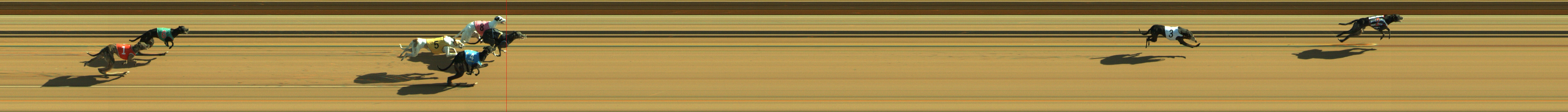 Photo finish for Geelong Race 1