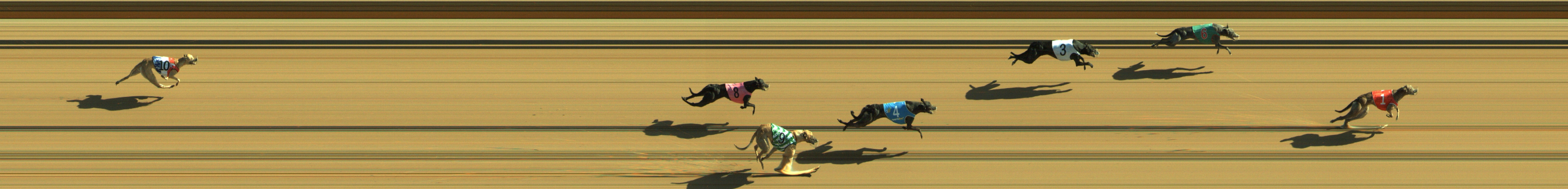 Photo finish for Geelong Race 2