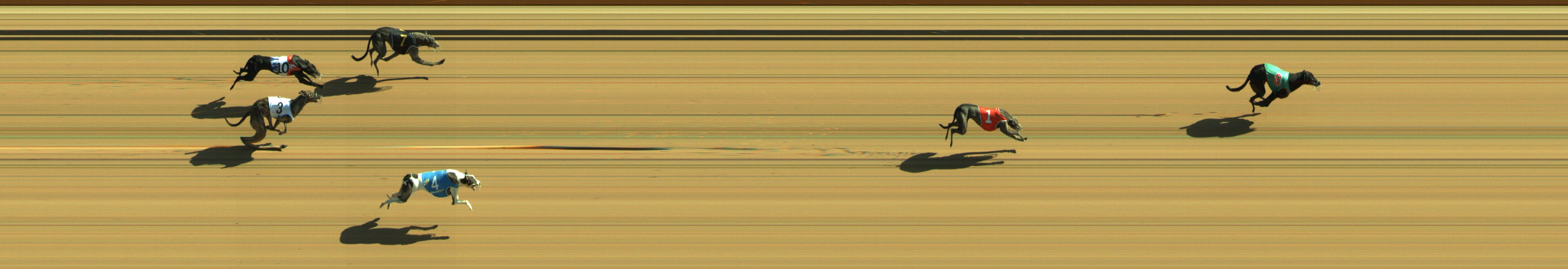Photo finish for Geelong Race 3
