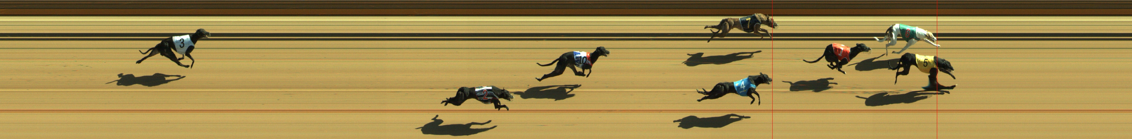 Photo finish for Geelong Race 4