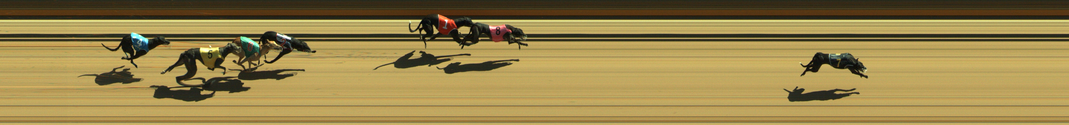 Photo finish for Geelong Race 6