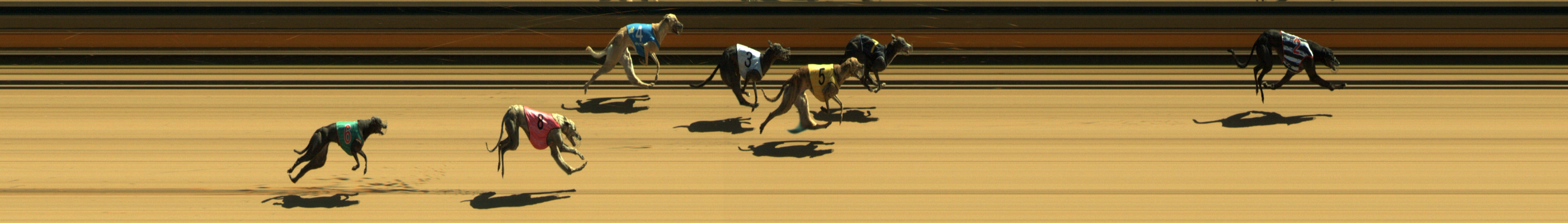 Photo finish for Geelong Race 7