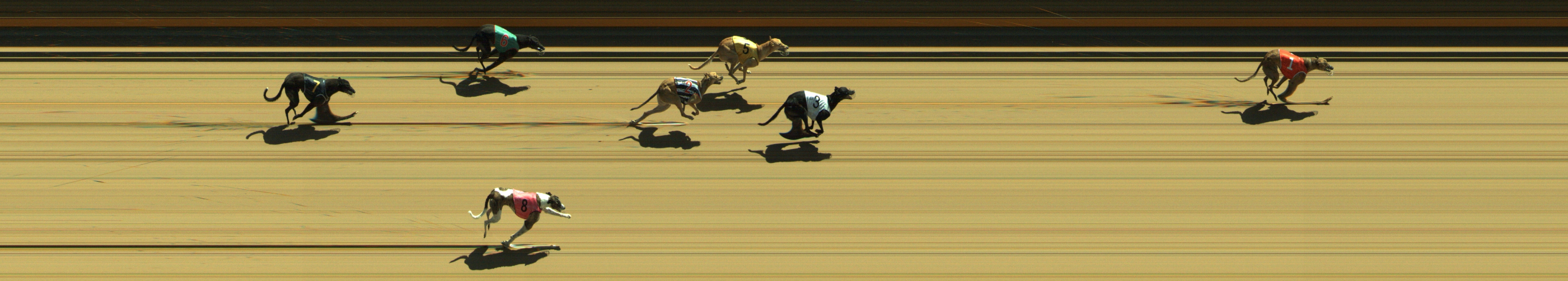 Photo finish for Geelong Race 9