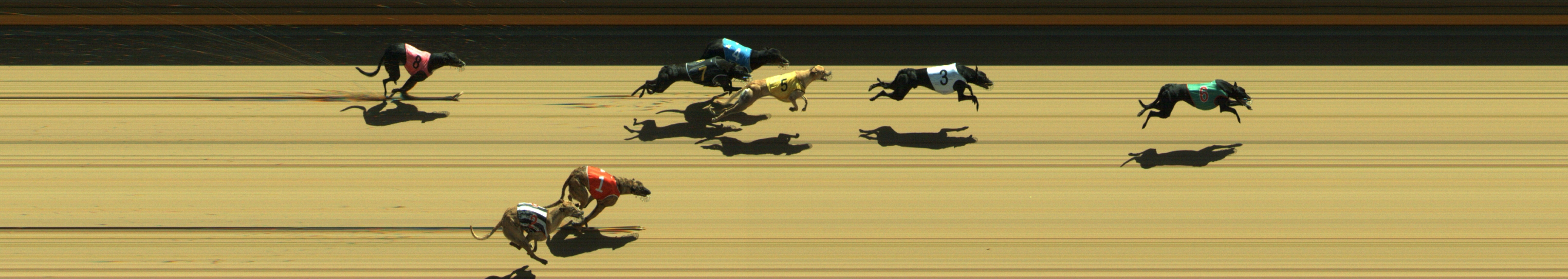 Photo finish for Geelong Race 10