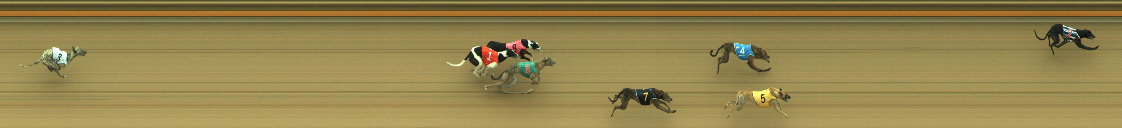 Photo finish for Geelong Race 1