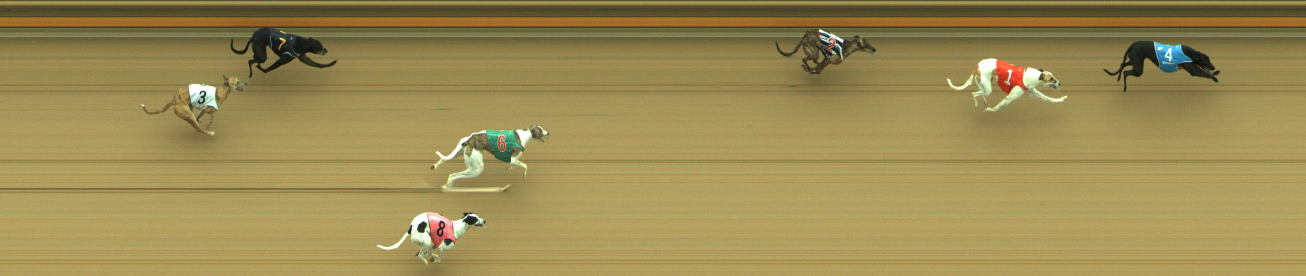 Photo finish for Geelong Race 2