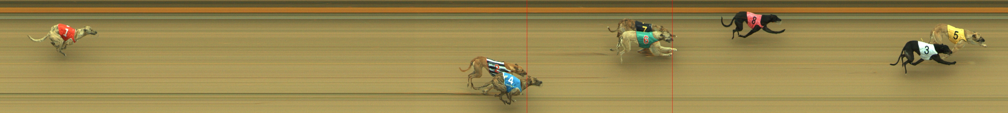 Photo finish for Geelong Race 3