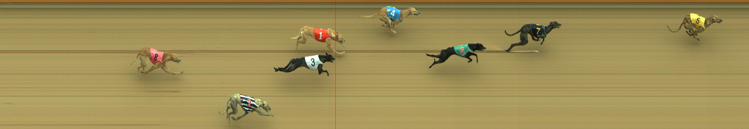 Photo finish for Geelong Race 5