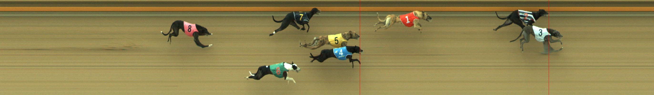 Photo finish for Geelong Race 6