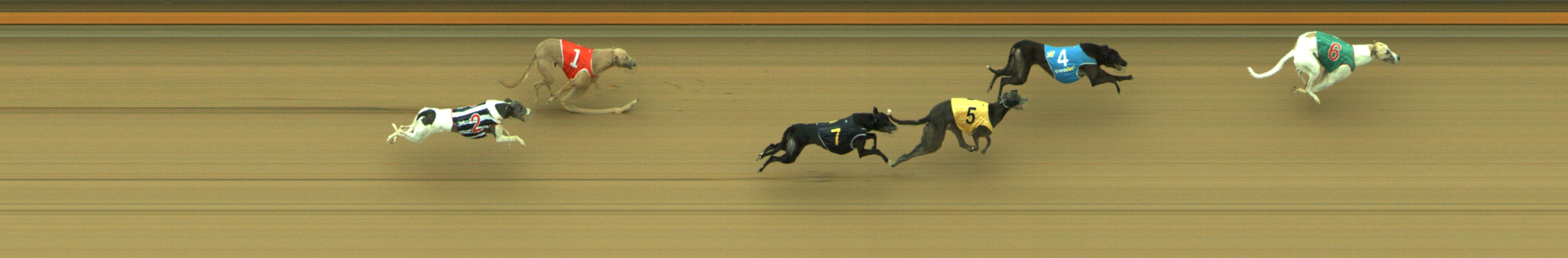 Photo finish for Geelong Race 7