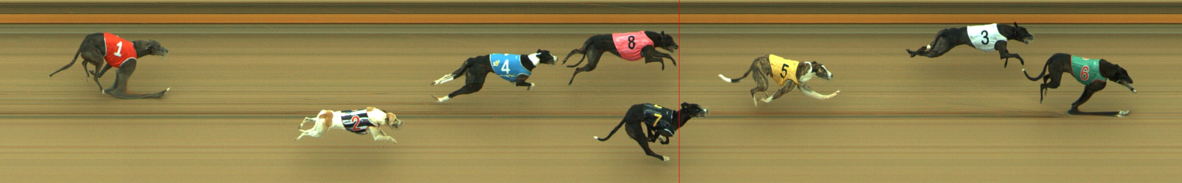 Photo finish for Geelong Race 8