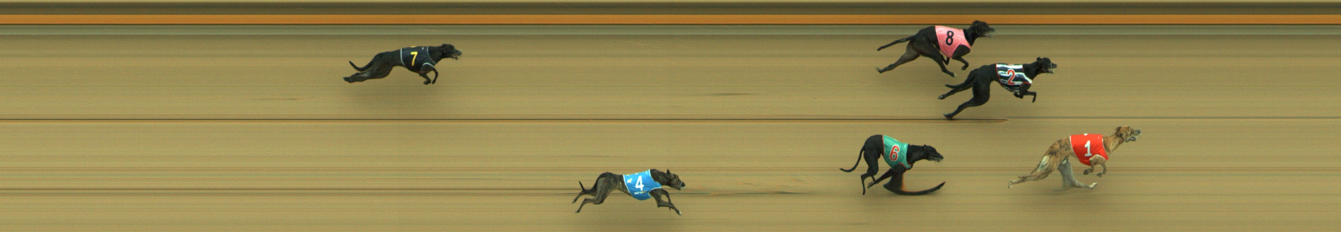 Photo finish for Geelong Race 9