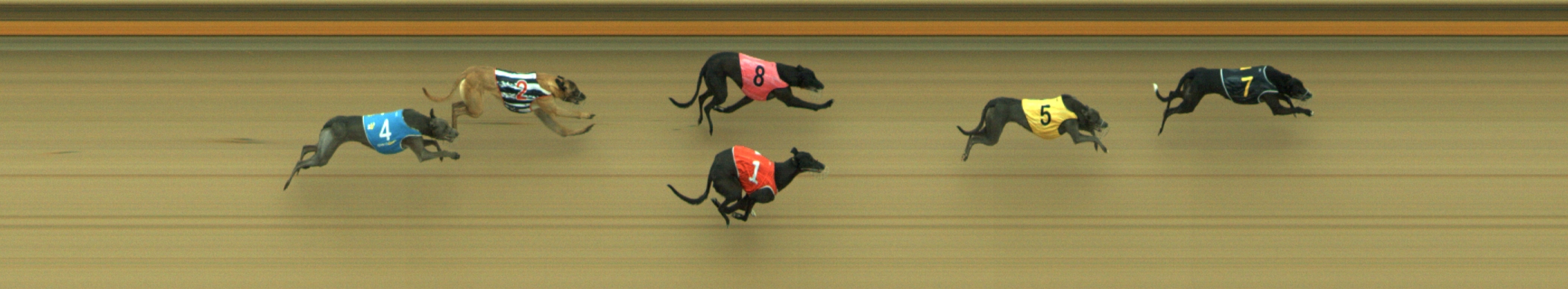 Photo finish for Geelong Race 10