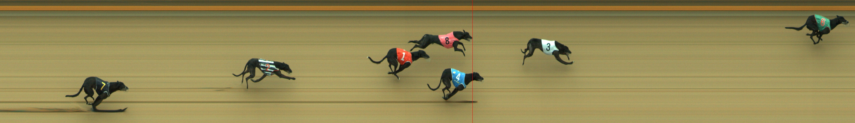 Photo finish for Geelong Race 11