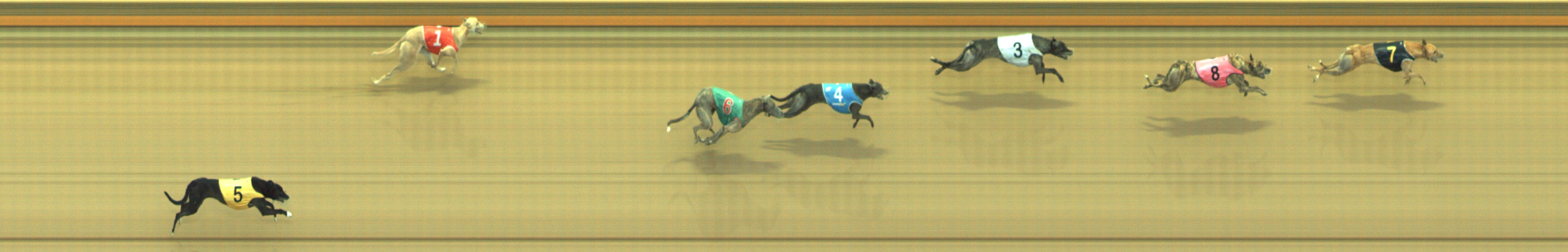 Photo finish for Geelong Race 12