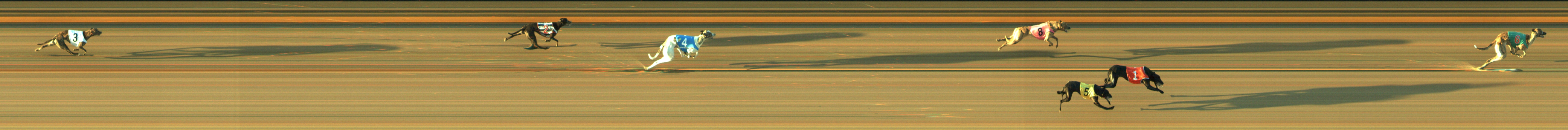 Photo finish for Geelong Race 1