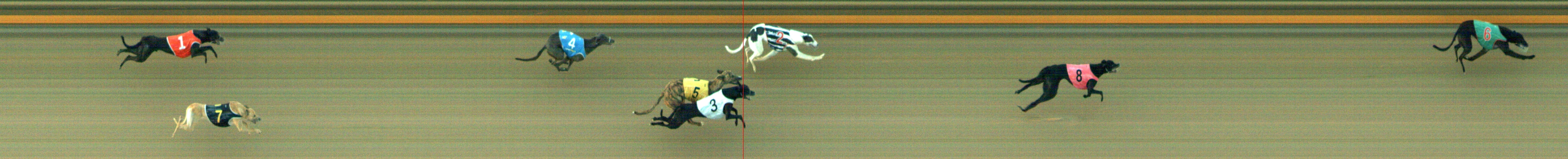 Photo finish for Geelong Race 2