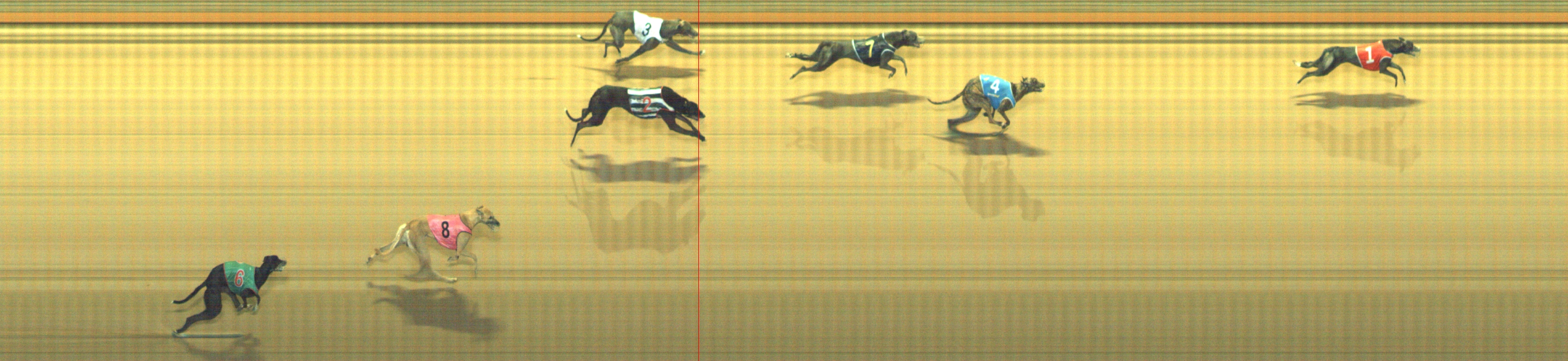 Photo finish for Geelong Race 3