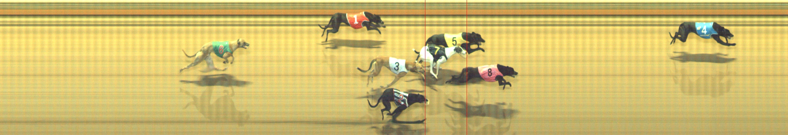Photo finish for Geelong Race 4