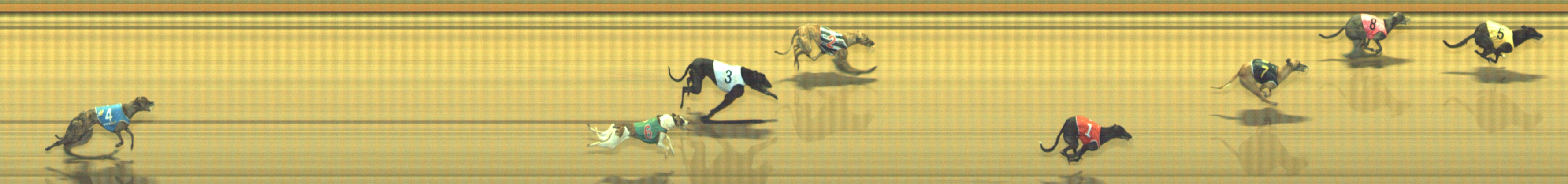 Photo finish for Geelong Race 5