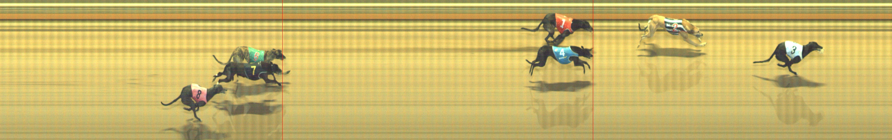 Photo finish for Geelong Race 6