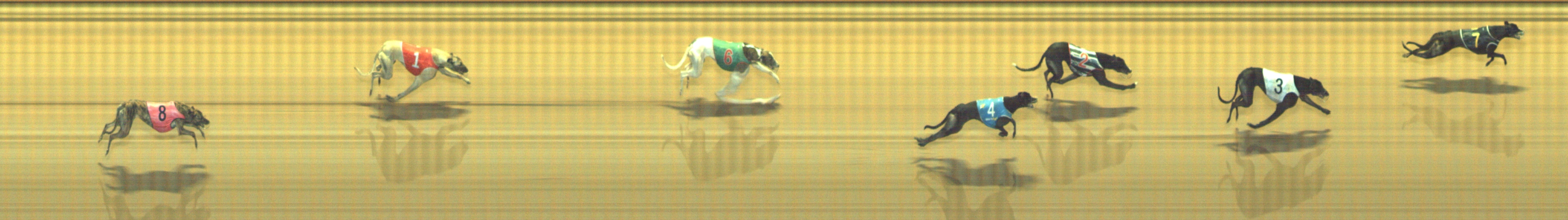 Photo finish for Geelong Race 7
