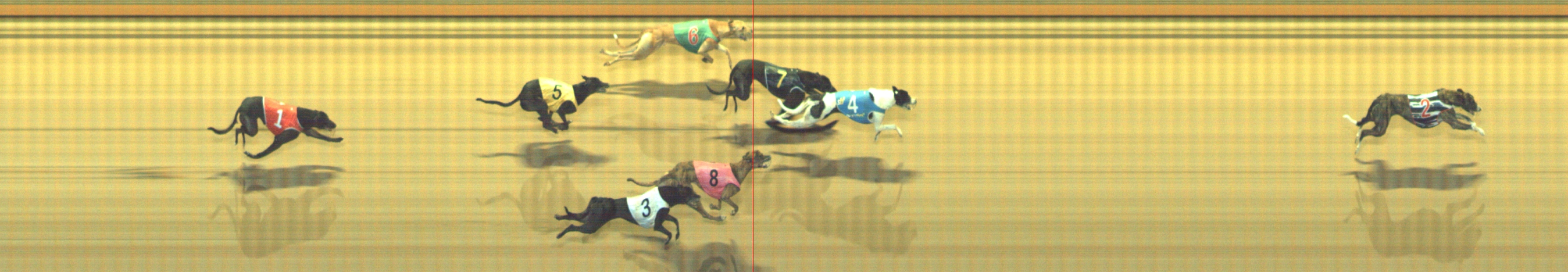Photo finish for Geelong Race 8