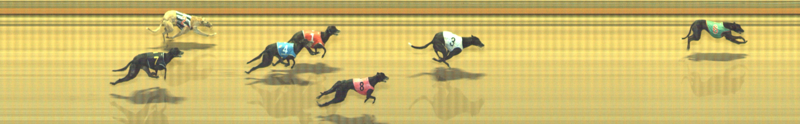 Photo finish for Geelong Race 9