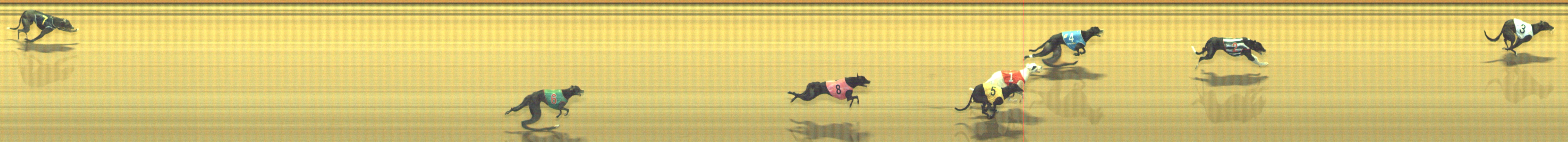 Photo finish for Geelong Race 10