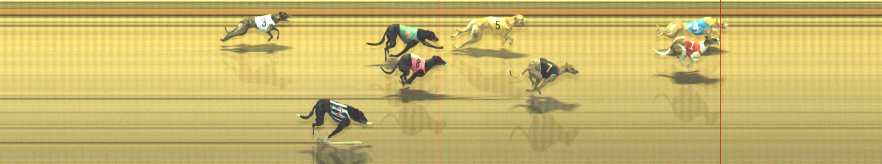 Photo finish for Geelong Race 11