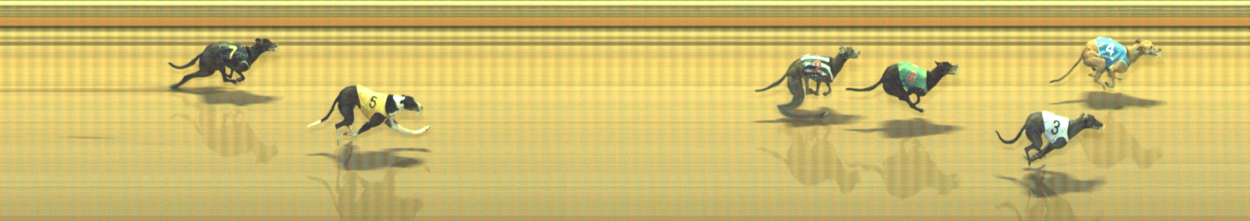 Photo finish for Geelong Race 12
