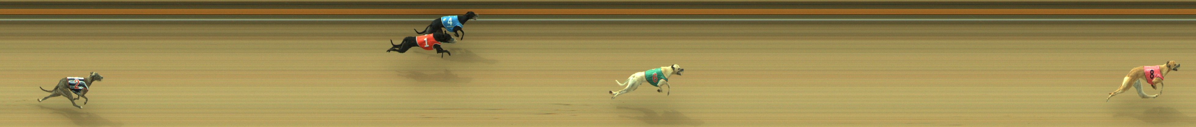 Photo finish for Geelong Race 1
