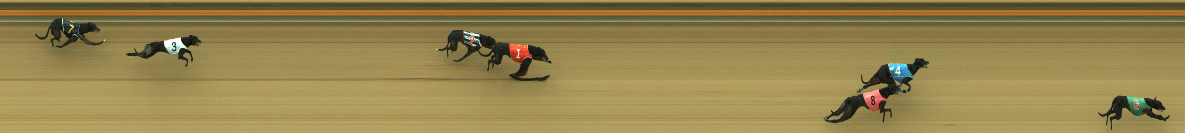 Photo finish for Geelong Race 5