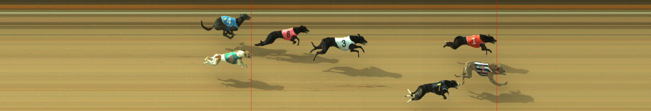 Photo finish for Geelong Race 6