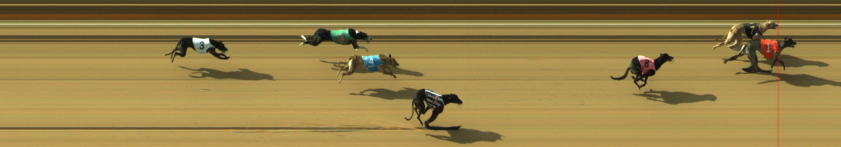 Photo finish for Geelong Race 7