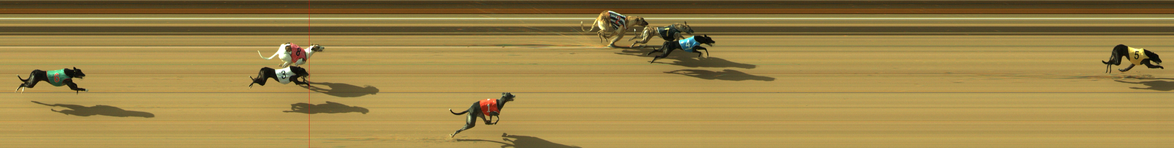 Photo finish for Geelong Race 8