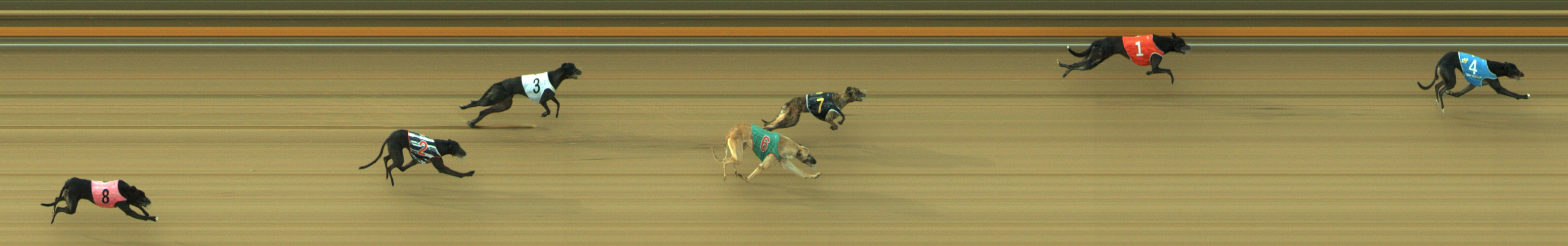 Photo finish for Geelong Race 9