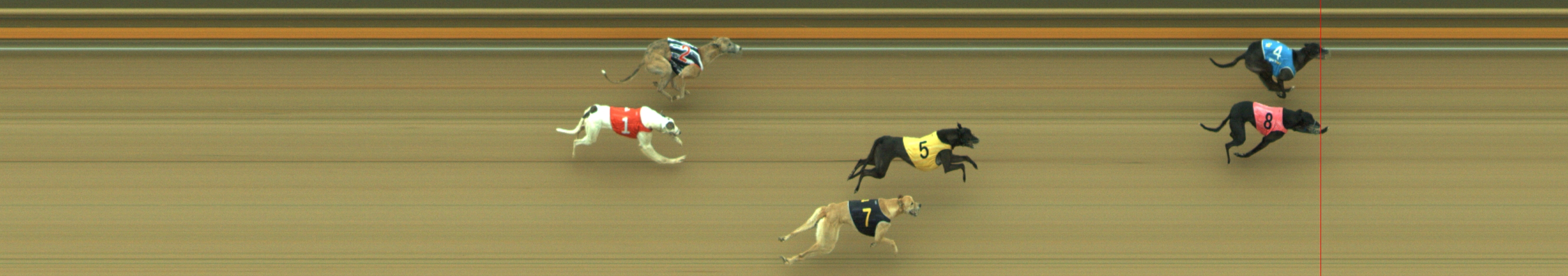 Photo finish for Geelong Race 10