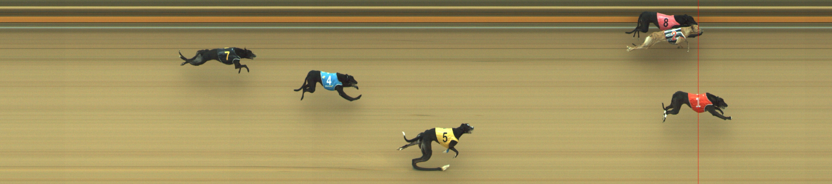 Photo finish for Geelong Race 11