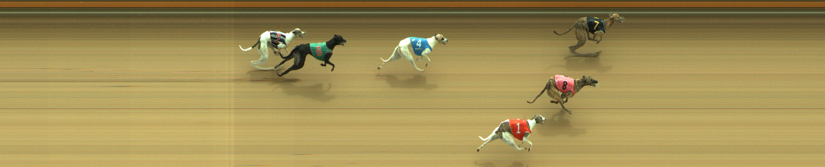 Photo finish for Geelong Race 1