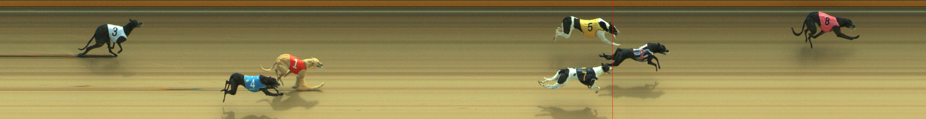 Photo finish for Geelong Race 3