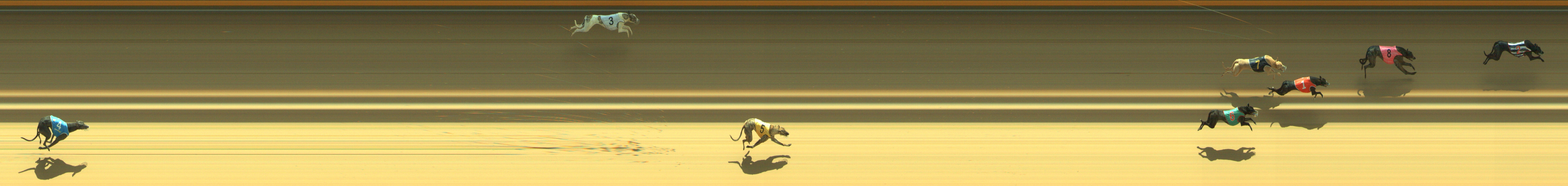 Photo finish for Geelong Race 4