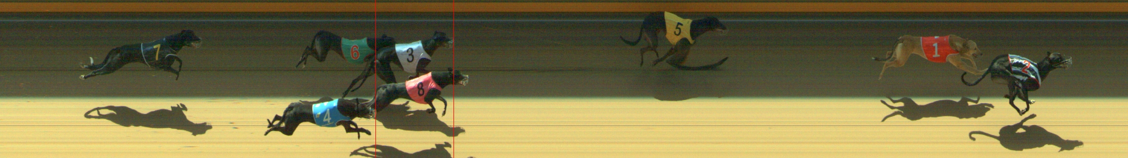 Photo finish for Geelong Race 7