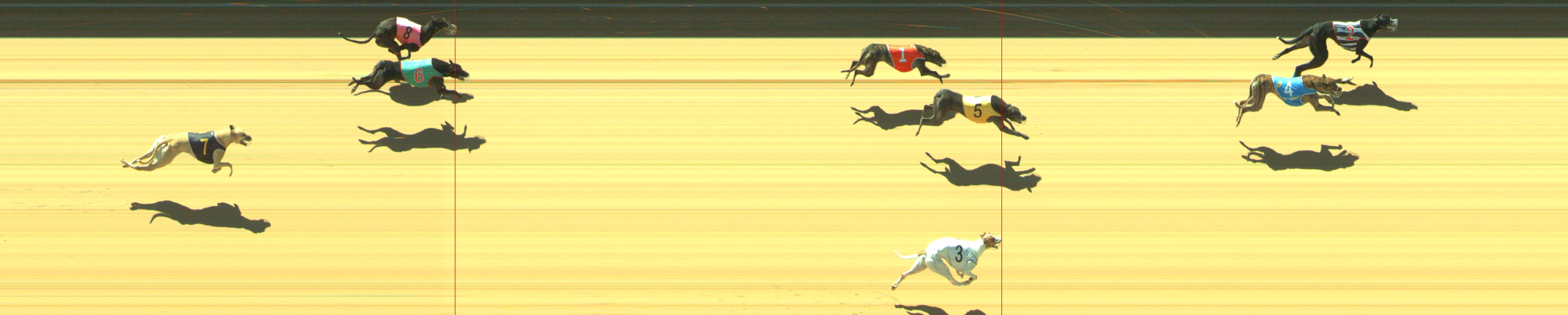 Photo finish for Geelong Race 8