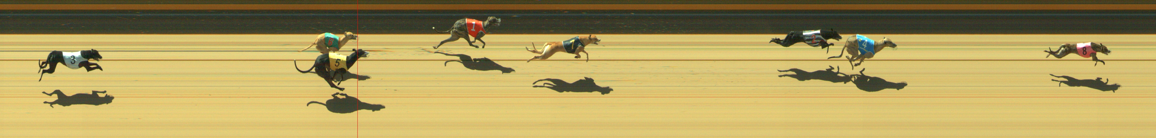 Photo finish for Geelong Race 9