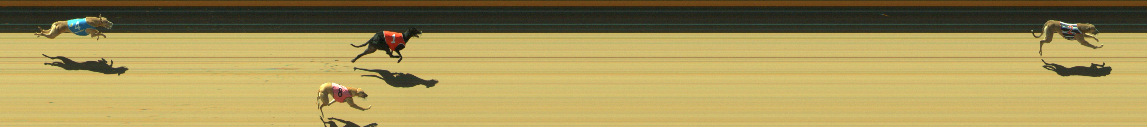 Photo finish for Geelong Race 10