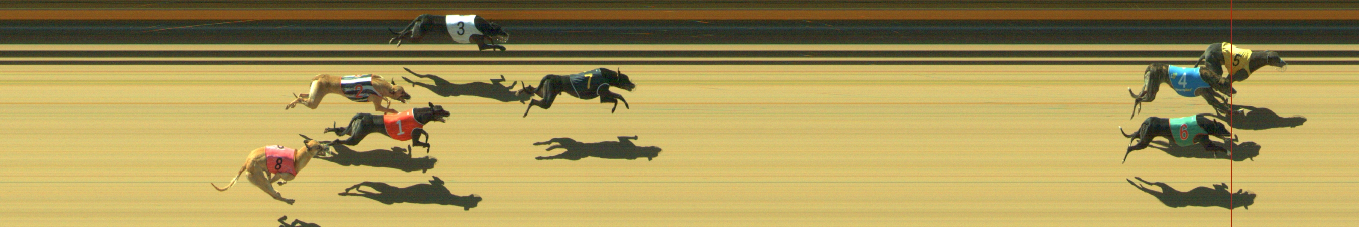 Photo finish for Geelong Race 11